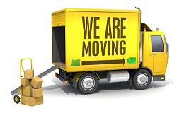 the movers