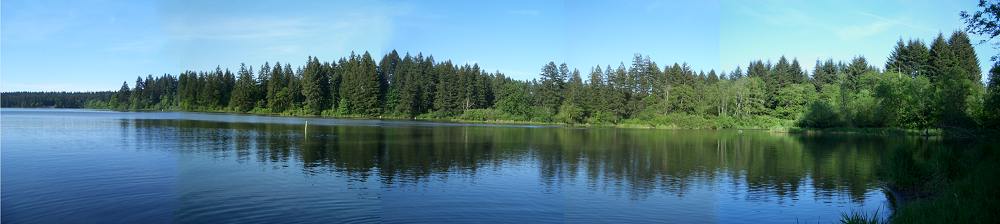 Panoramic view of Lacamas Lake in the late afternoon in May